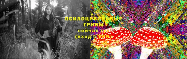 трава Аркадак
