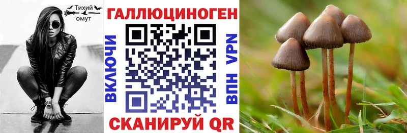Псилоцибиновые грибы прущие грибы Луга